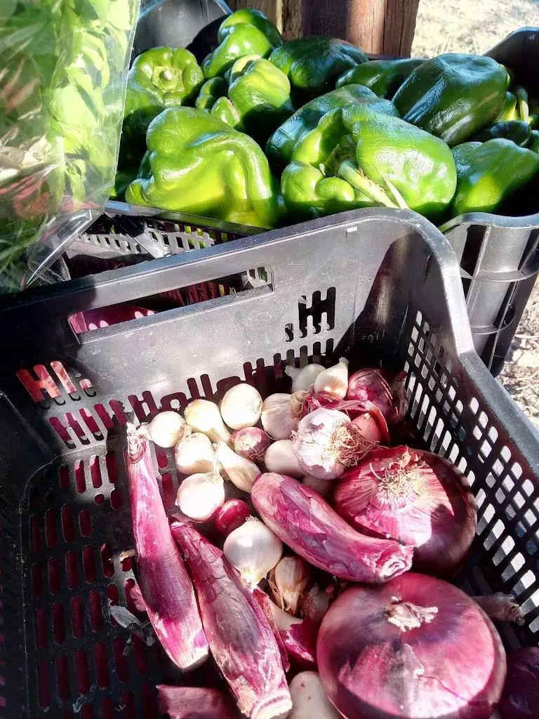 Menu_L Auberge Du Lac_Carnoules_image_9