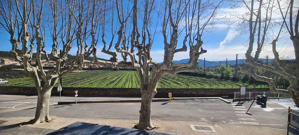 J Foulger_Hôtel Le Castel Fleuri_Carnoules_review