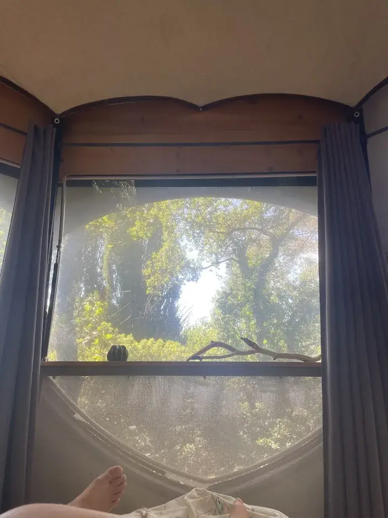 Alizée Sanchez_Domaine de la Tuilière | Chambre d'hôtes, hébergement insolite | Carnoules_Carnoules_review