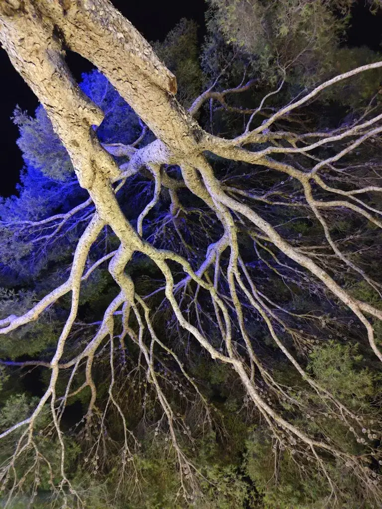 K London_La Villa Madrigal_Carry-le-Rouet_review