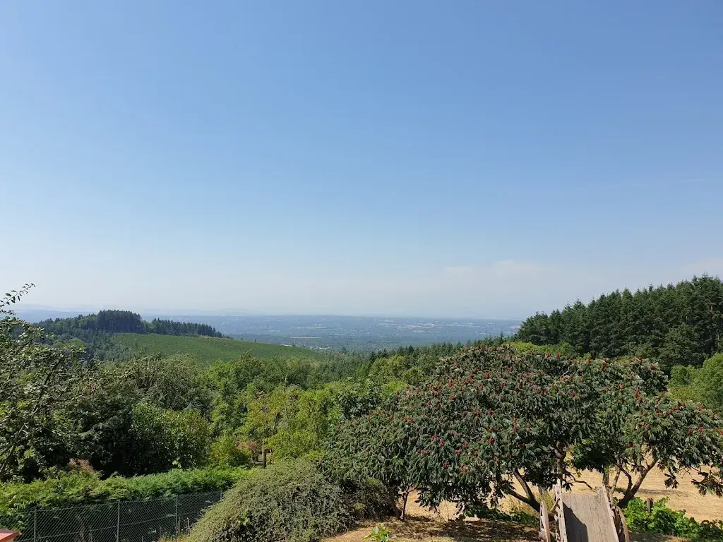 Nigel Tan_Auberge des Roux_Paslières_review