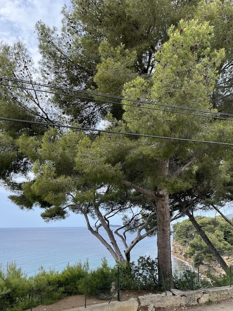 Hristijan Gjorgievski_La Table de Nans_Ciotat_review