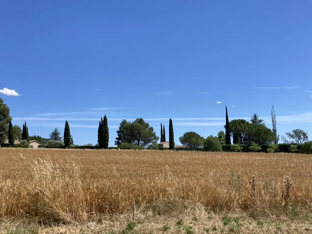 Thomas van Vliet_La Table de Beaurecueil_Beaurecueil_recensione