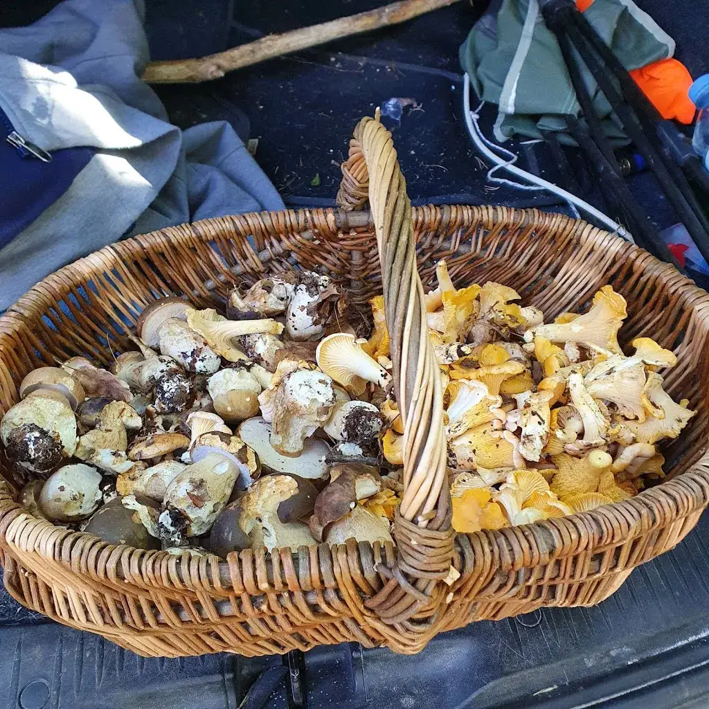 Menu_Pizzeria La Provence Restaurant_Cavaillon_image_6