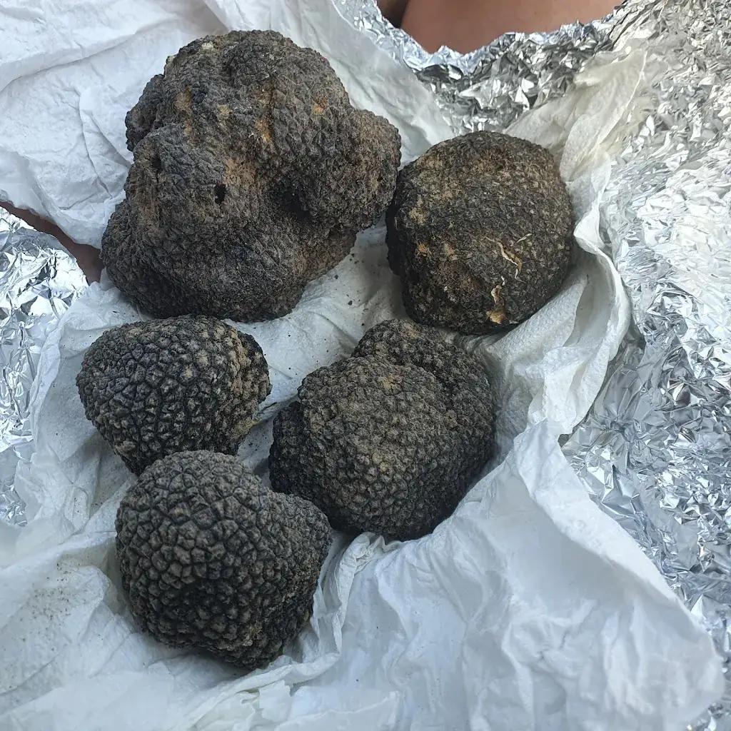 Menu_Pizzeria La Provence Restaurant_Cavaillon_image_9