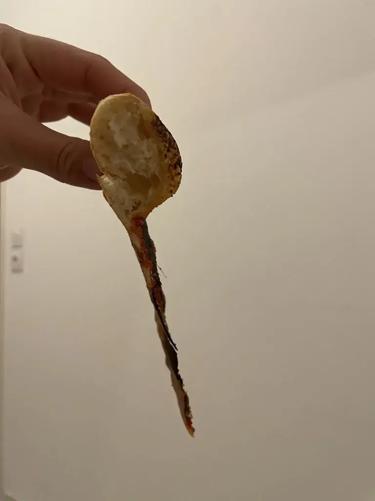 Alexanne B._Pizza L'Aiglon_Cavaillon_review