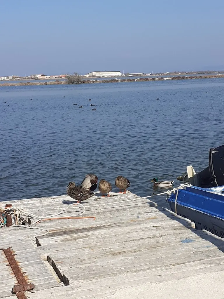Le Cabanon des pêcheurs_Châteauneuf-les-Martigues_slider_image_2