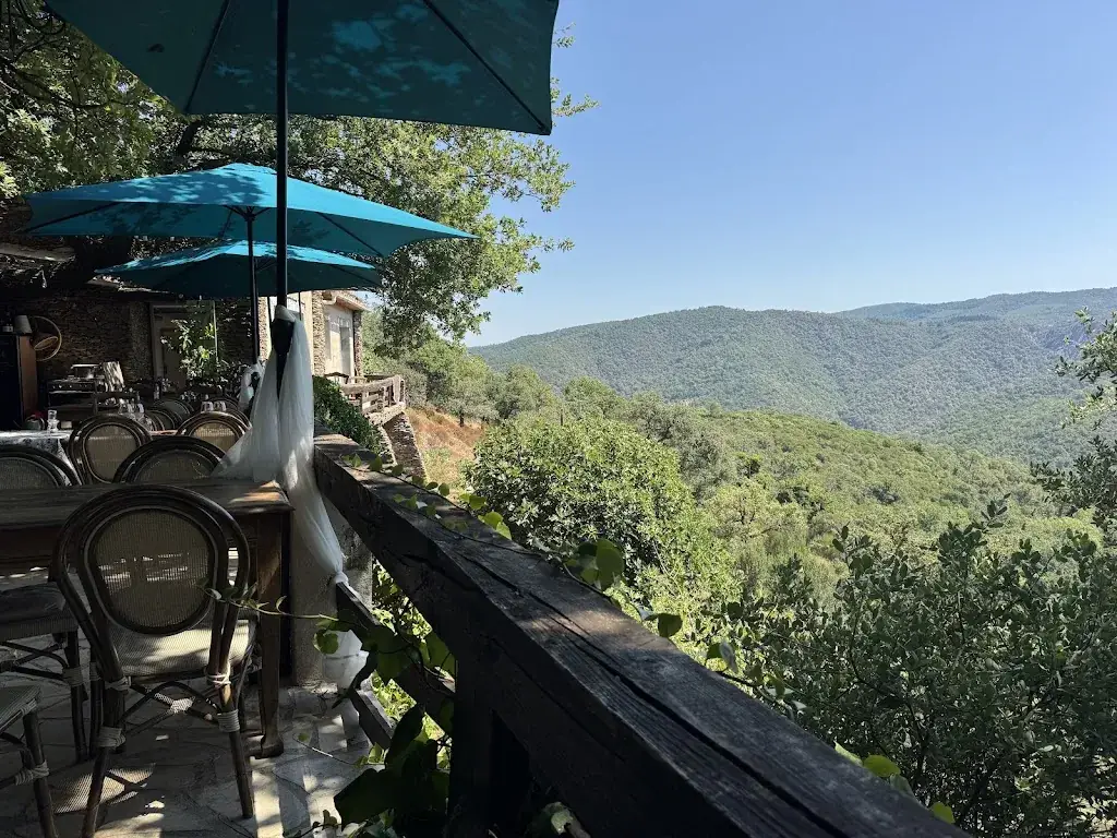 Mark Dowman_La Ferme de Peigros_Collobrières_review