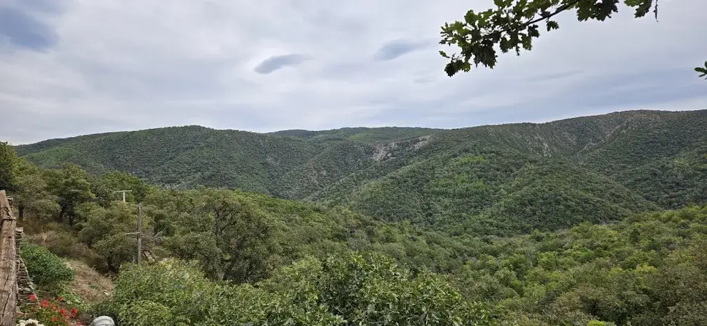 La Ferme de Peigros_Collobrières_slider_image_3