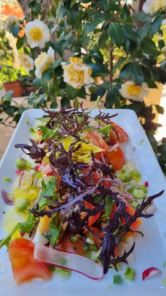 Restaurant L'Oliveraie Chez Grec_Colomars_slider_image_3