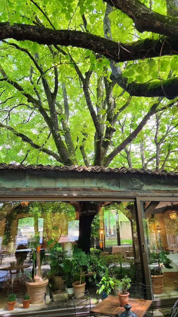 Bryan MrD_Restaurant Mas d'Entremont_Aix-en-Provence_review