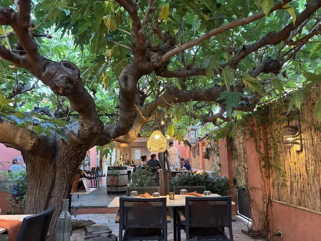 La Petite Maison à Cogolin_Cogolin_slider_image_2