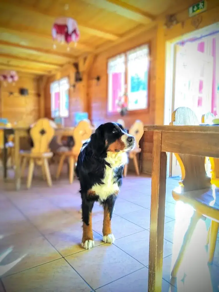 Dave Evans_Les Mouilles_Morzine_review