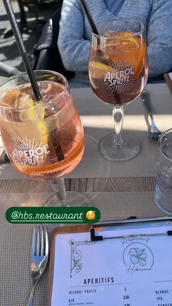 cheyenne chienno_Restaurant Hibiscus_Saint-Cannat_review