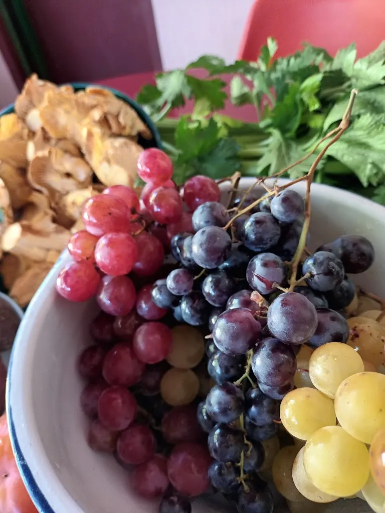 Menu_Restaurant le puisatier_Marseille_image_4