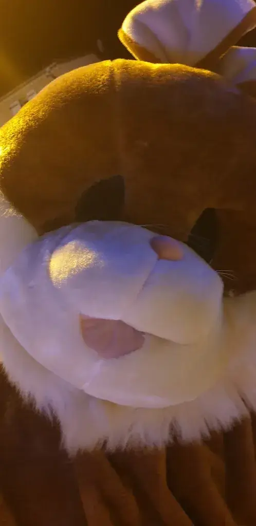 Menu_Le Sainte Anne_Évenos_image_6