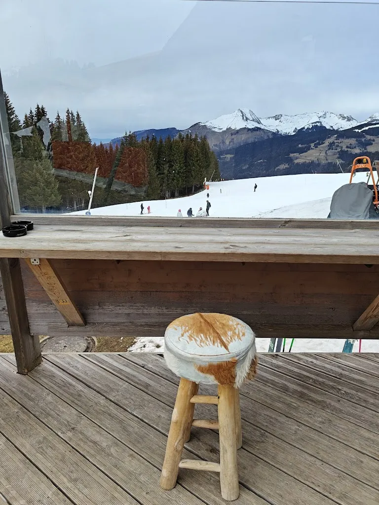 Anita Tavener_Chez Nannon_Morzine_review