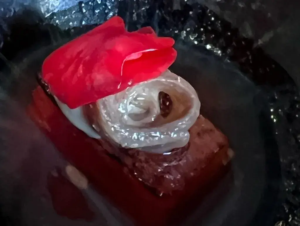 Kim Manning_Maison Hache_Eygalières_review