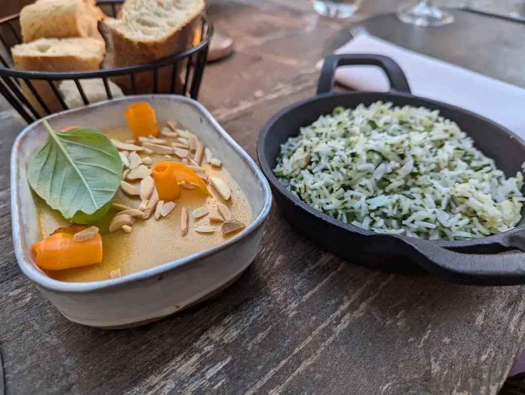 Neda Javadpour_Sous les Micocouliers_Eygalières_review