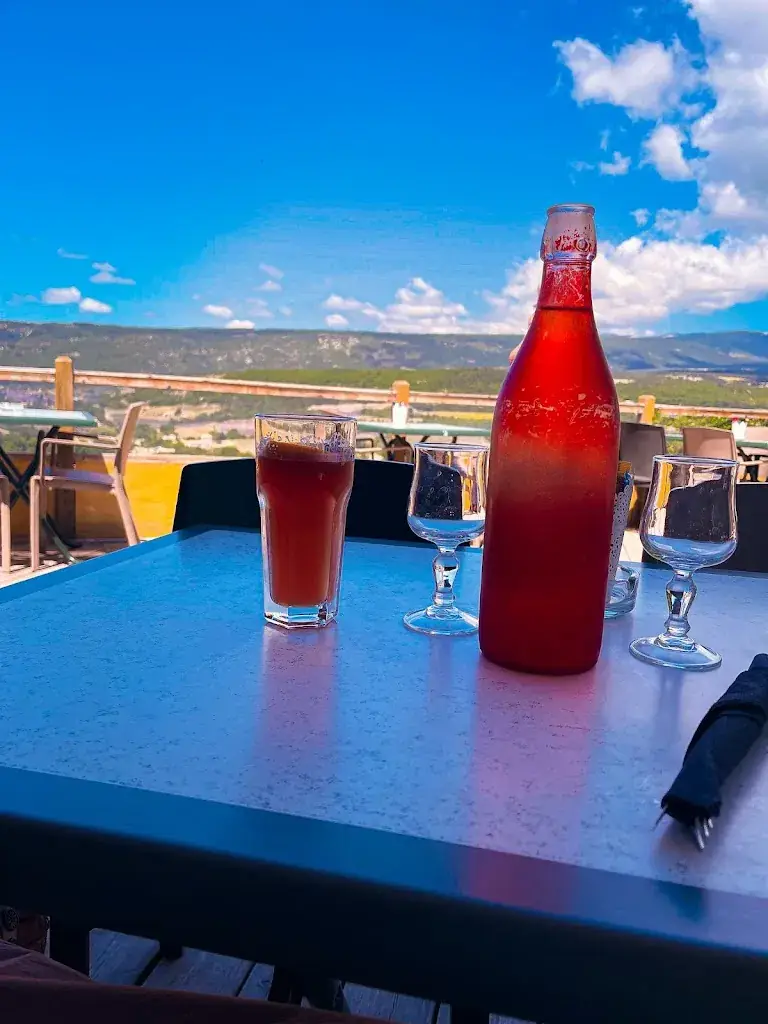 Lina Gudinienė_Le Progrès_Eygalières_review