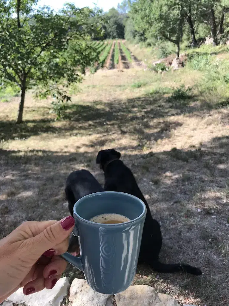 Monika Gulizzi_The Domaine Saint Martin_Flassans-sur-Issole_review