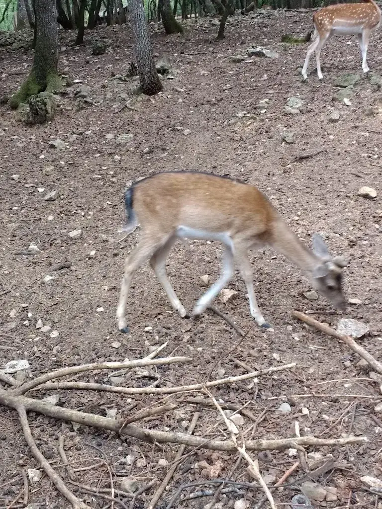Lynda Dupont_Aoubré l'Aventure Nature_Flassans-sur-Issole_review