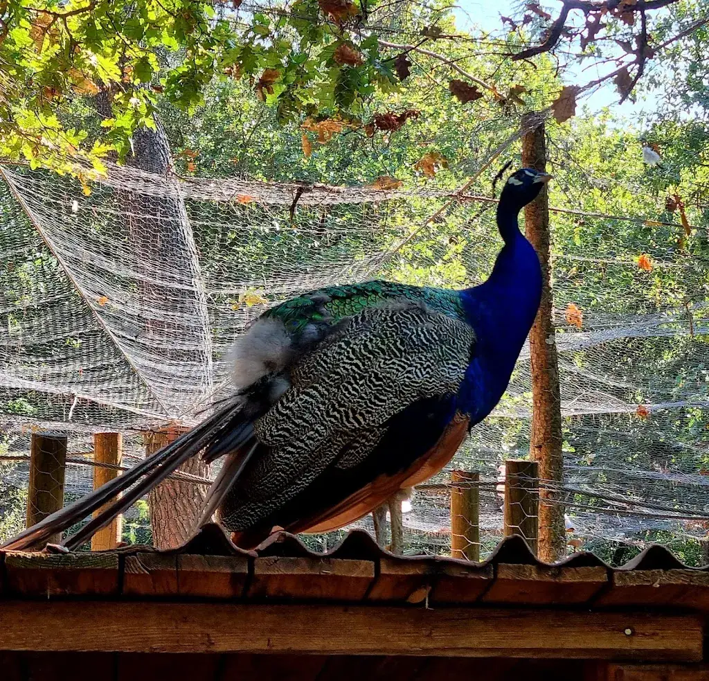 Aoubré l'Aventure Nature_Flassans-sur-Issole_slider_image_3