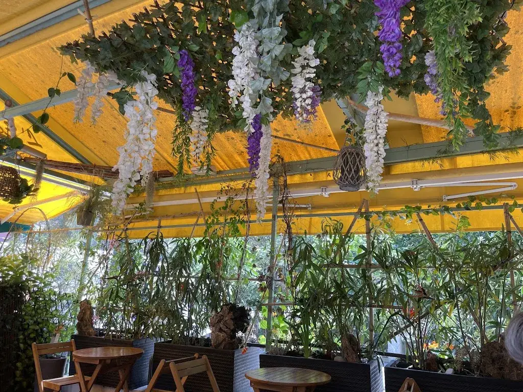 Lei L._L'Echoppe Provencale_Èze_review