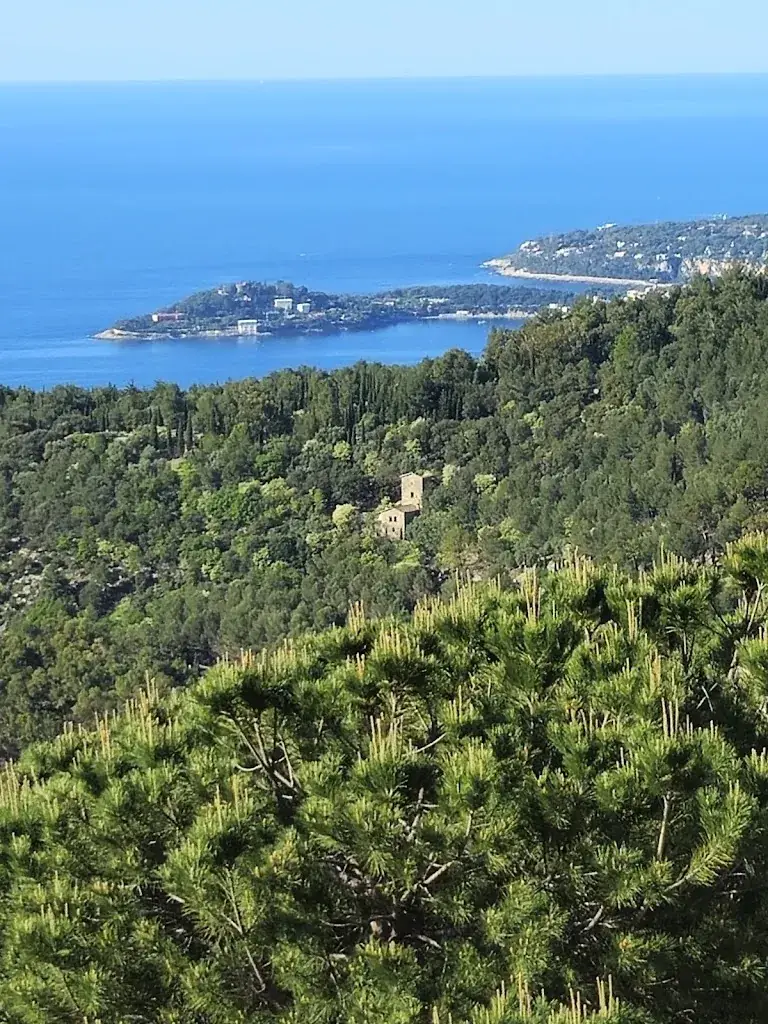 Richard Forward_Restaurant Le Tillac_Èze_review