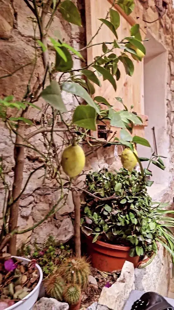 Chez Jean-Marc_Èze_slider_image_2