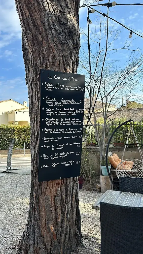 Menu_La cour des 2 pins_Fontvieille_image_2