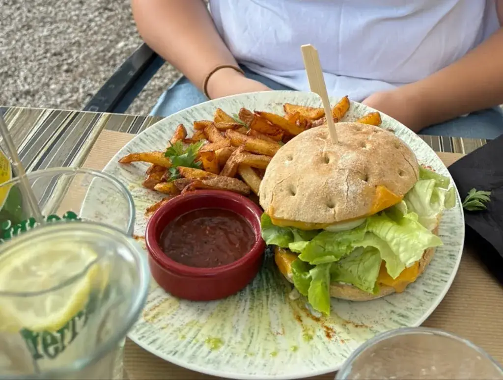 Valerie Collignon_La cour des 2 pins_Fontvieille_avis