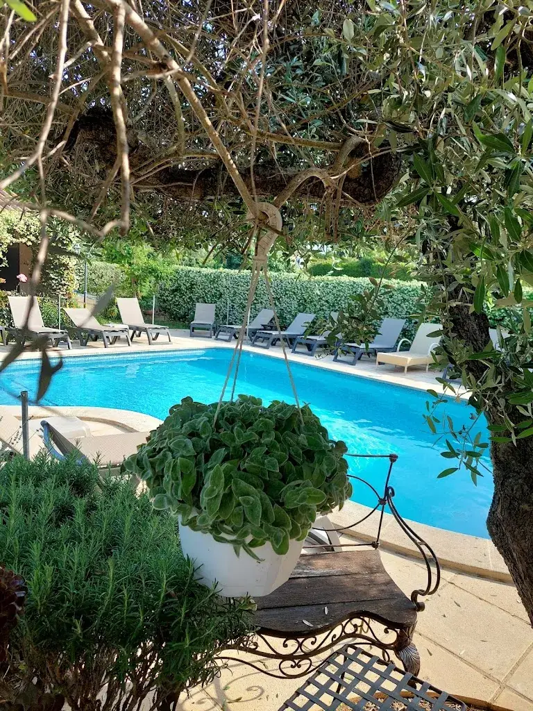 armelle weinmann_Hostellerie de La Tour_Fontvieille_review