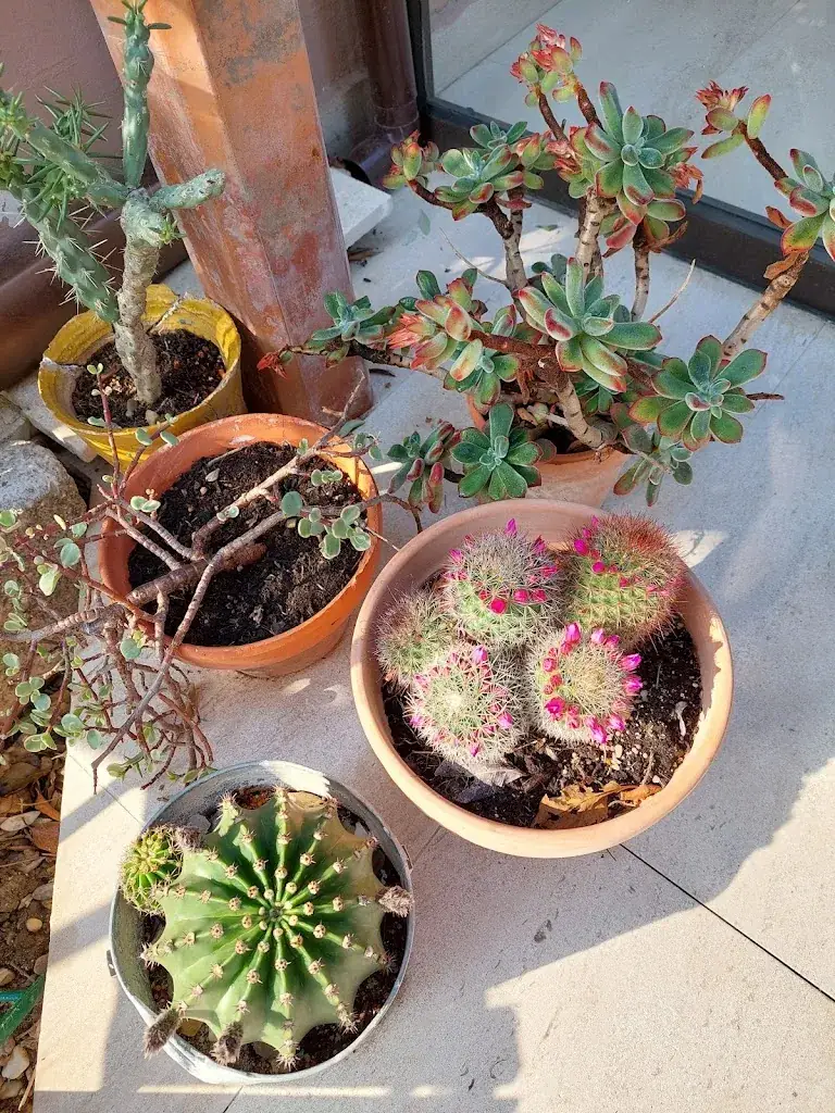 Hostellerie de La Tour_Fontvieille_slider_image_2