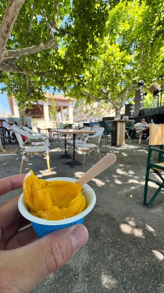 SUGURU MIYAZAKI_Les Délices De Daudet_Fontvieille_review