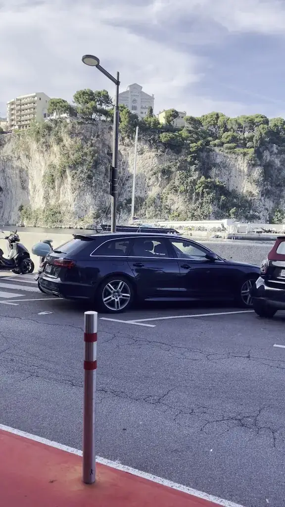 Brian Skelton_Graziella_Monaco_review