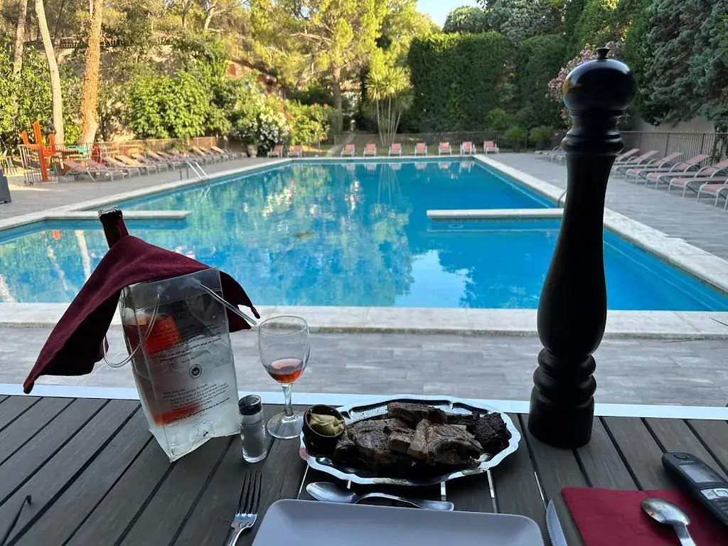 Thomas Roussel_Restaurant Les Mazets des Roches_Tarascon_review