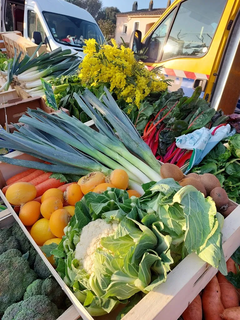 La gamelle de julie_Fontvieille_slider_image_3