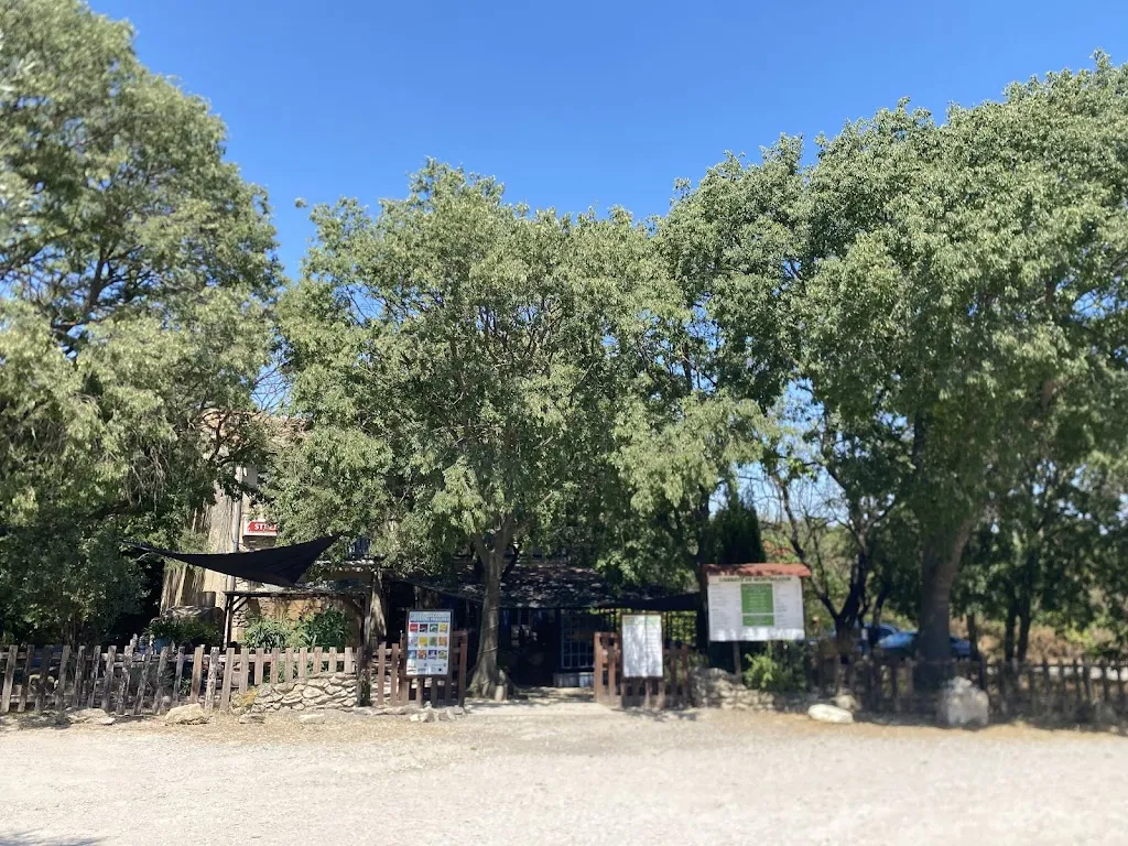 Francois Mandonnaud_Auberge de l'Abbaye de Montmajour_Arles_review