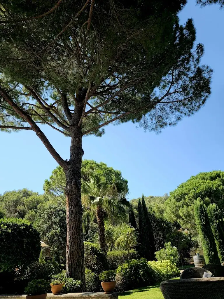 Martin Tremblau_Hotel Restaurant Benvengudo_Baux-de-Provence_review