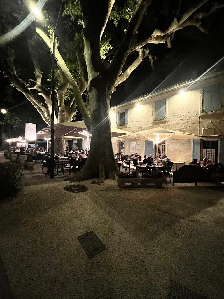 Tobi H._Le Bistrot du Paradou_Paradou_review