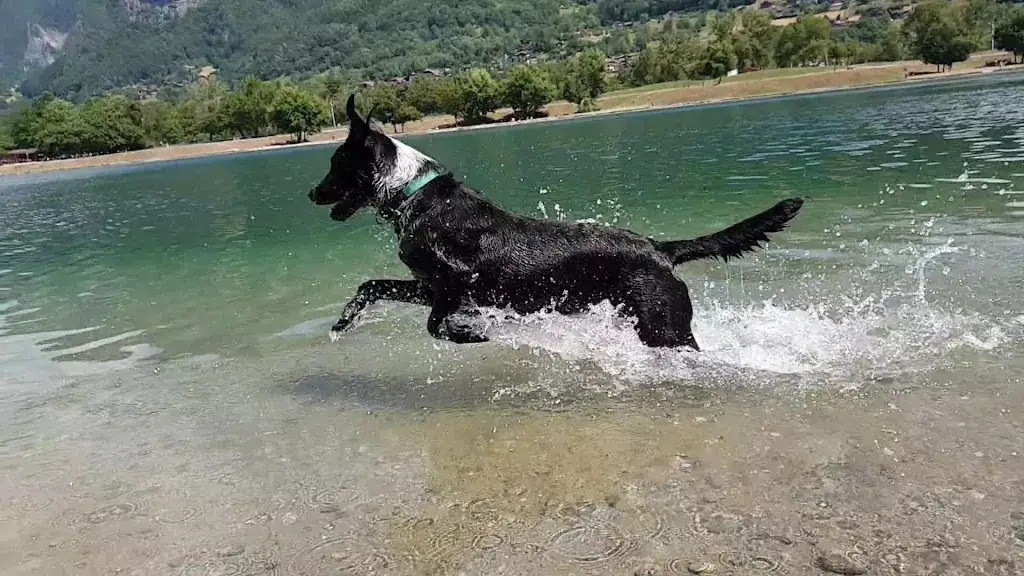 Restaurant les criques_Passy_slider_image_2