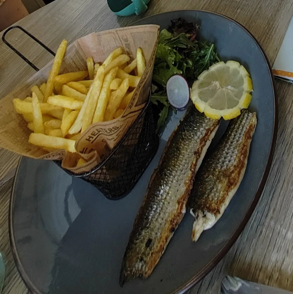 Crevan Toonder_Mérou Ardent_Fréjus_review