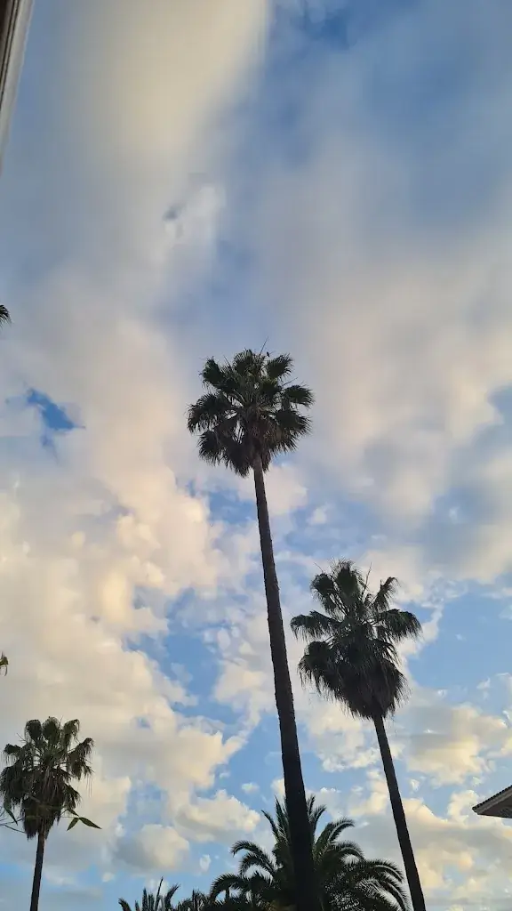 Alena Kuricová_Viet D Azur_Fréjus_review