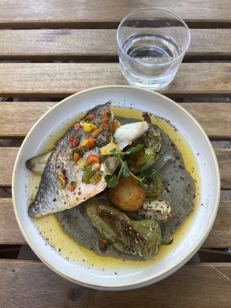 Lucie Fogt_Terra_Fréjus_recensione