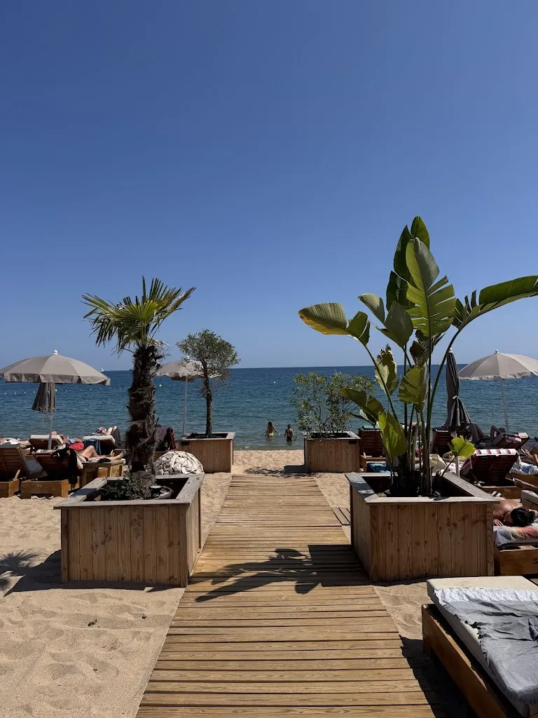 Hani D_Palmera Plage_Fréjus_review