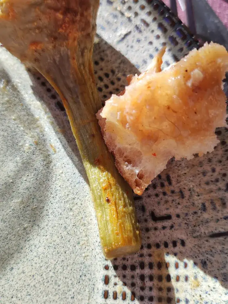 Snail Mi_Le Milano_Fréjus_recensione