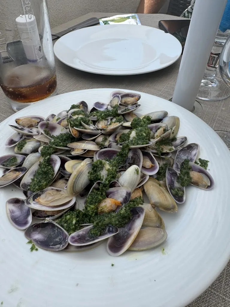 Andreea Anghelache_Le Mistral Gagnant_Fos-sur-Mer_review