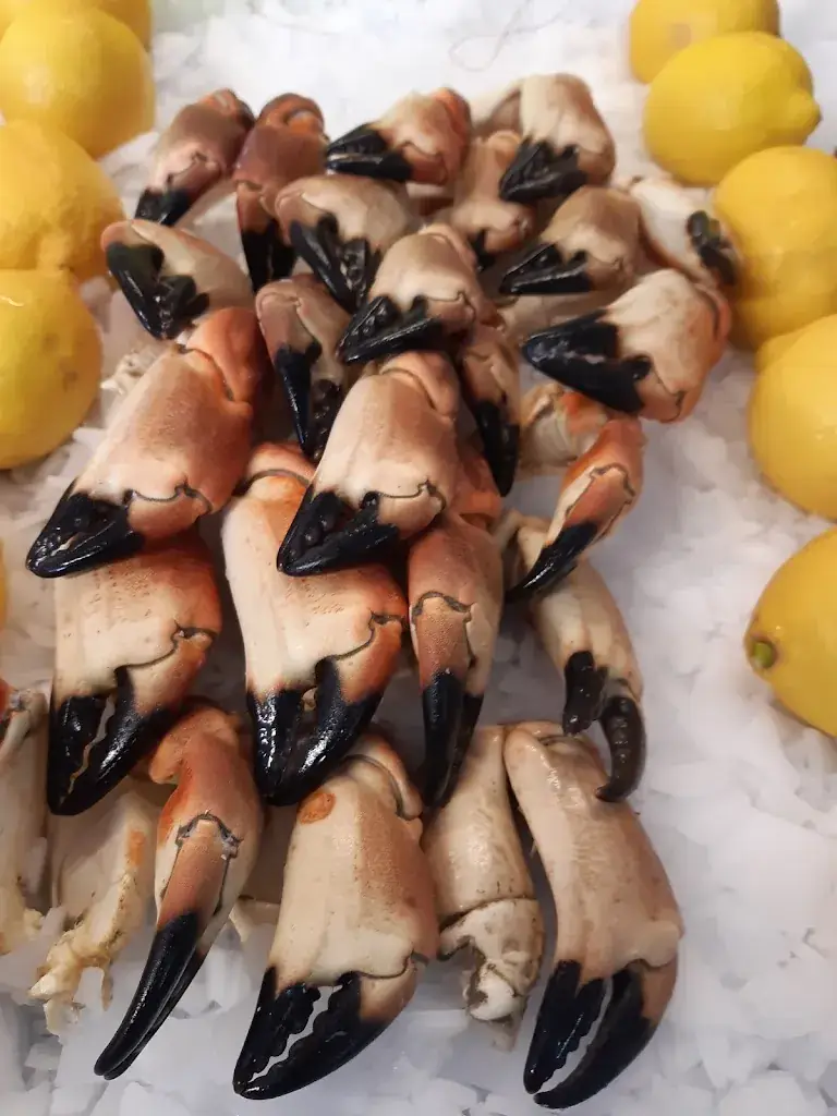 Menu_Moreau Laurent coquillages_Fos-sur-Mer_image_8