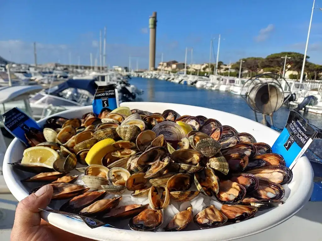 Moreau Laurent coquillages_Fos-sur-Mer_slider_image_3